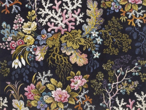 Love and Longing in the Seaweed&nbsp;Album