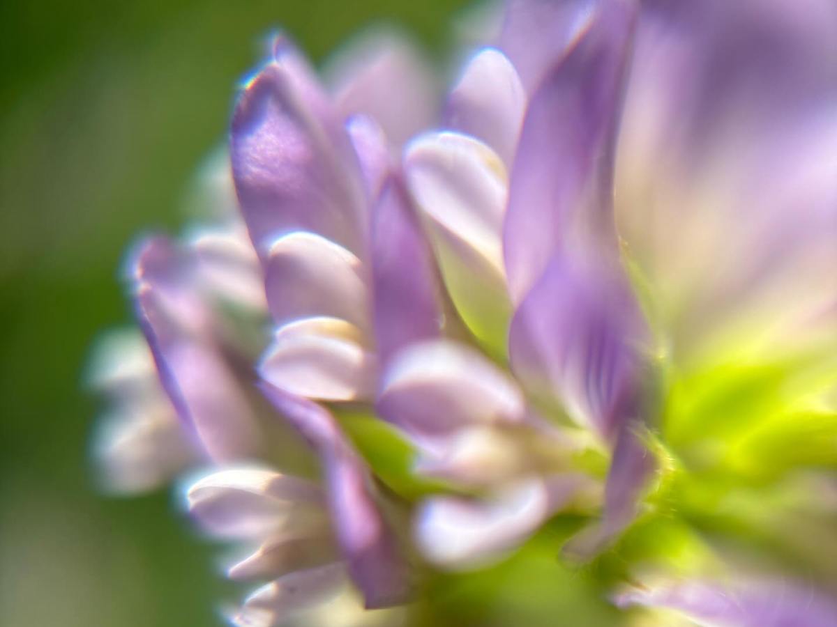 Best Albums of 2024 (So&nbsp;Far)